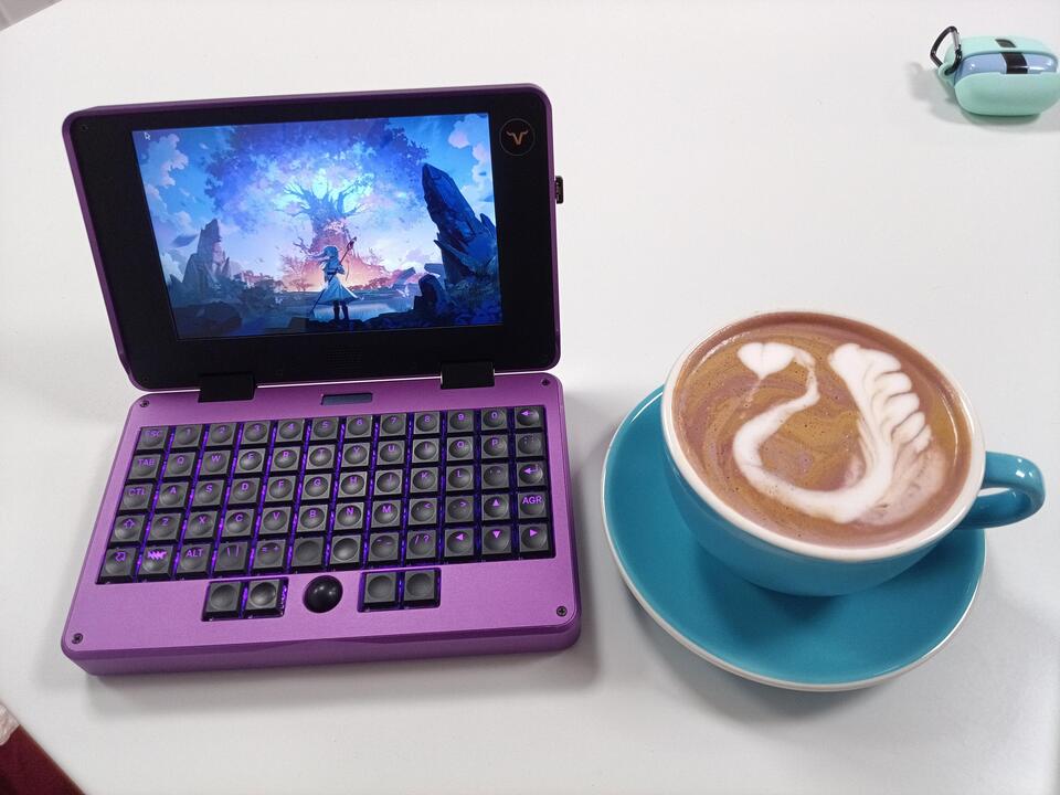 Purple Pocket Reform at a cafe